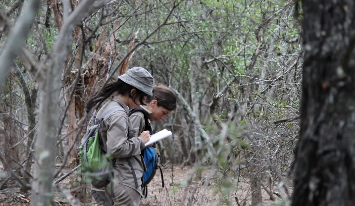 Investigadora de la UNNE fue galardonada con el Oscar Verde por su proyecto de conservación en el Chaco