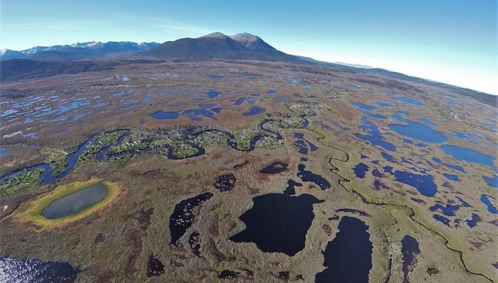 Iniciativa binacional para proteger las turberas patagónicas