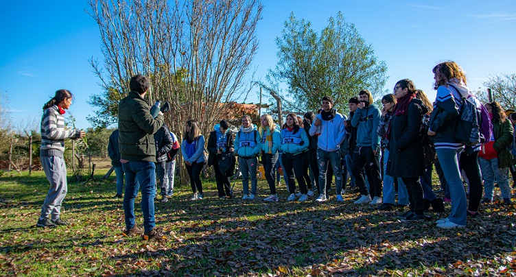 Convocatoria abierta para el Programa de Voluntariado Universitario nacional