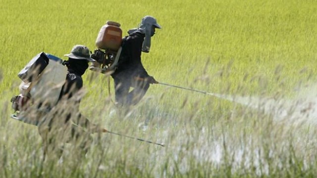 Avances en relación a la agricultura sostenible